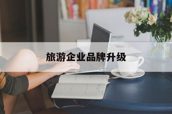 平顶山市旅游企业品牌升级(旅游企业品牌升级措施)