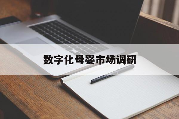平顶山市数字化母婴市场调研(数字化母婴市场调研报告)